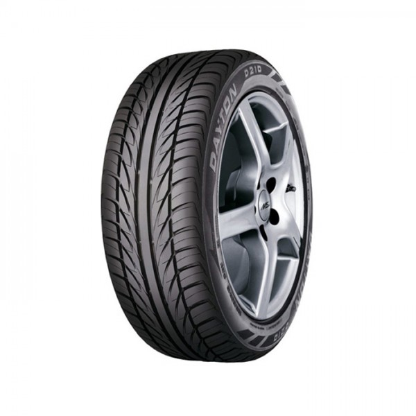 Dayton D210 205/65 R15 94V