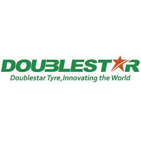 Double Star WINTERKING DW02 265/65R17 112S