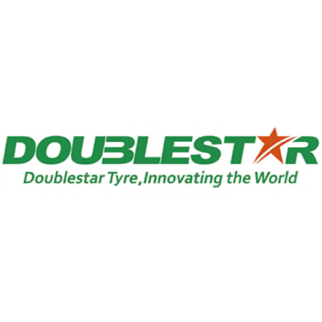 Double Star WINTERKING DW08 225/40R18 92H