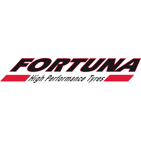 Fortuna ECOPLUS HP 205/55R16 91H