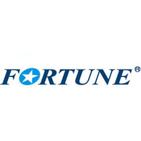 Fortune FSR801 165/65R13 77T