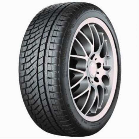 Falken EUROWINTER HS02 PRO 225/65R17 106V