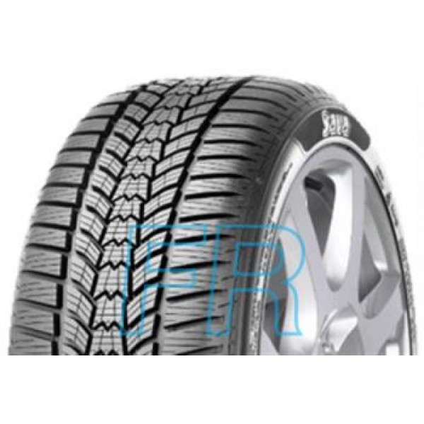 Sava ESKIMO HP2 205/55R16 91H