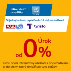 Nové platební metody – úvěr a odložené platby